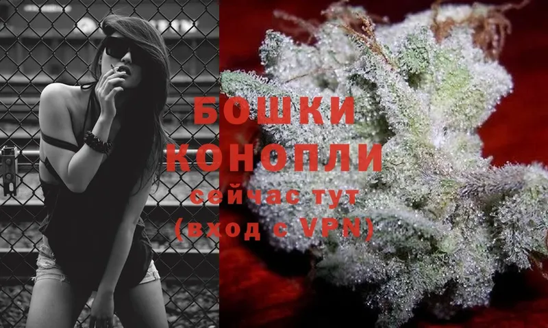 как найти   Медынь  мега маркетплейс  Бошки марихуана White Widow 